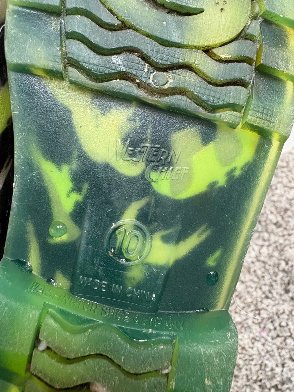 Western Chief Light Up Dinosaur Rainboots Size 10c